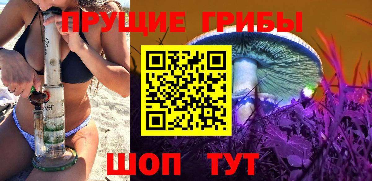 где найти наркотики  Псилоцибиновые грибы GOLDEN TEACHER  Вход с VPN  Балтийск 